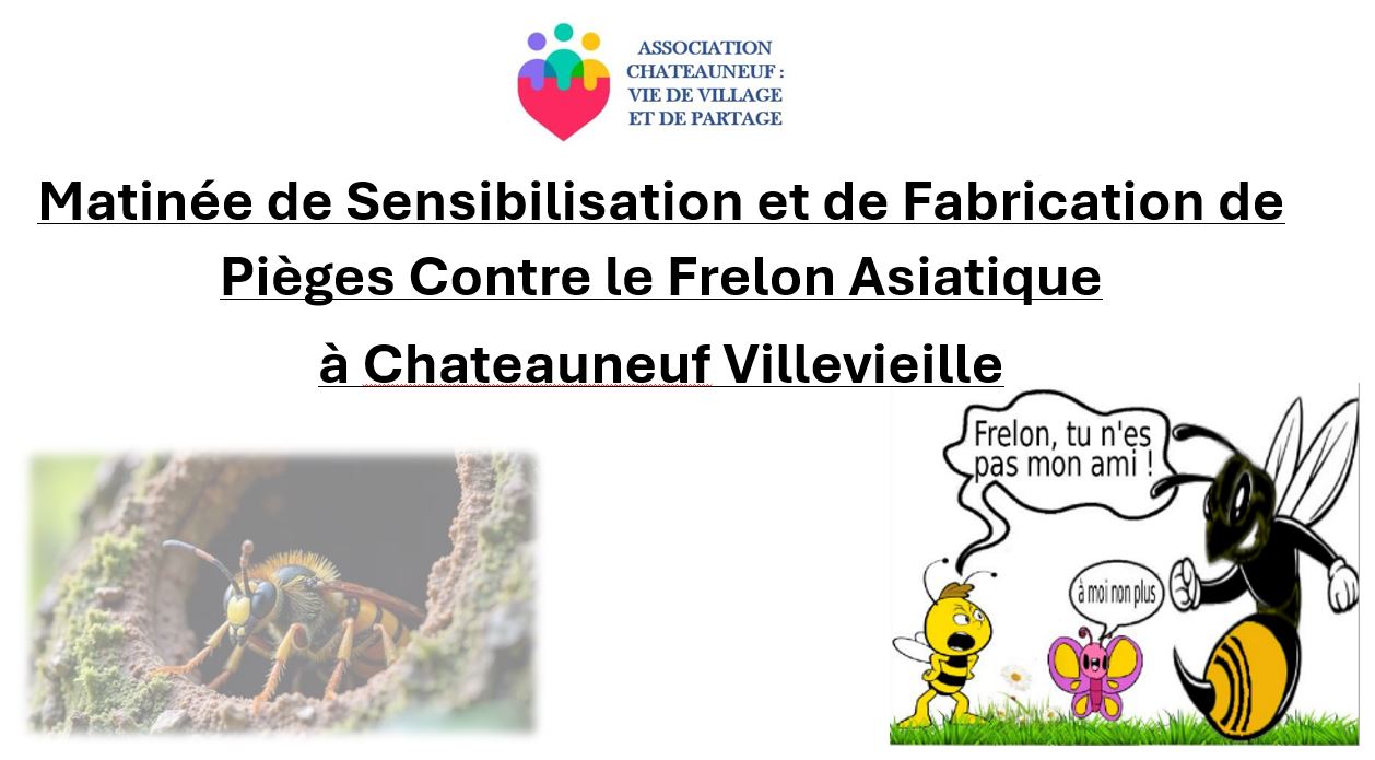 frelon1.jpg